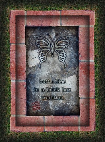 butterflies in a brick box image